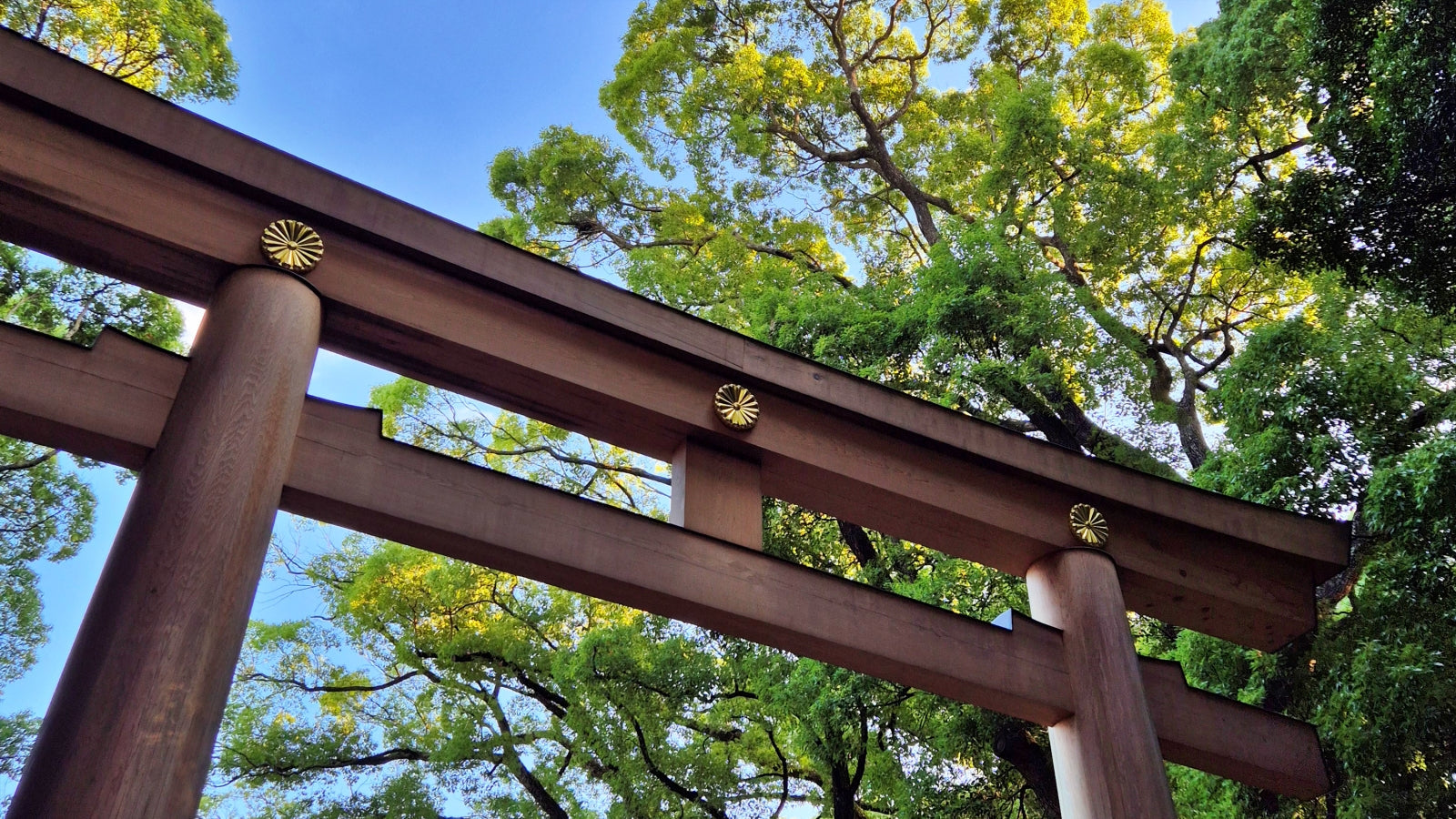 Japan Summer Break 2026 – Order Before August 7