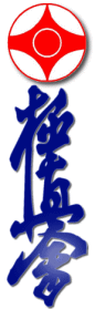 Don't be fooled by fake Isami Kyokushin gear