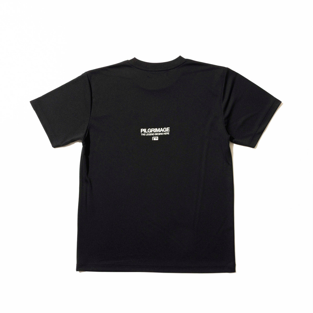 Pilgrimage Big Mark Dry T-Shirt