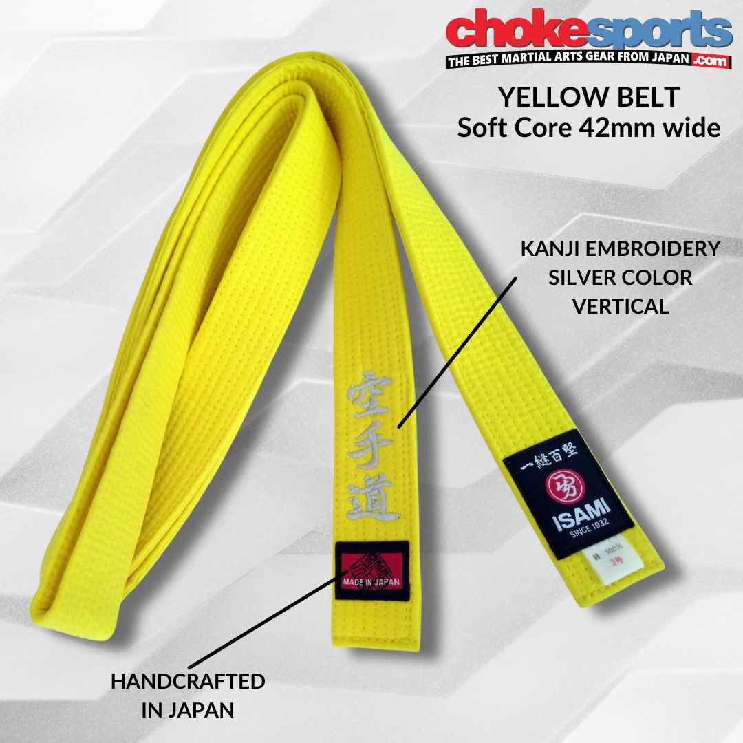 Yellow Belt What is the Difference Between Yellow, Green and Black Lean  main image 2