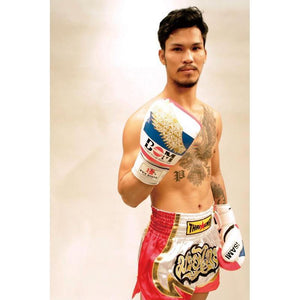 Isami Boxing Gloves – Pro Gear for Sparring & Competition