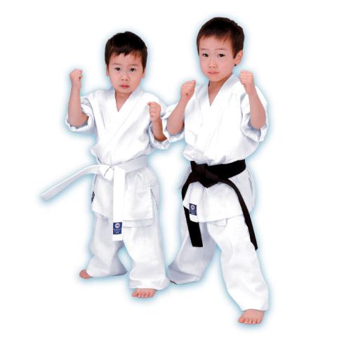 Best Martial Arts For Families