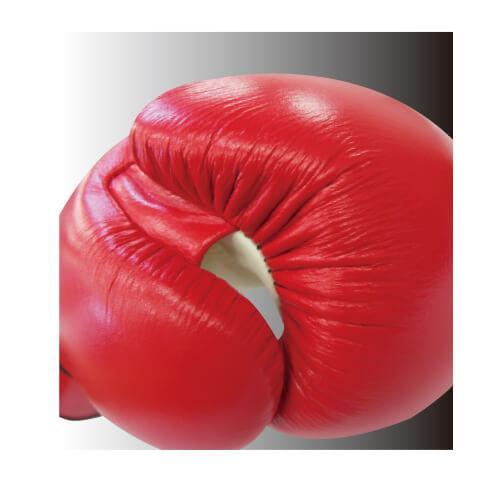 Thai Boxing Gloves-Boxer-ChokeSports